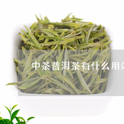 中茶普洱茶有什么用处/2023062414956