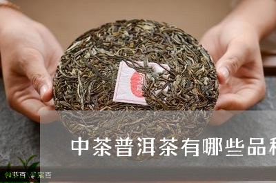 中茶普洱茶有哪些品种/2023100714150