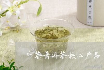 中茶普洱茶核心产品/2023091403057