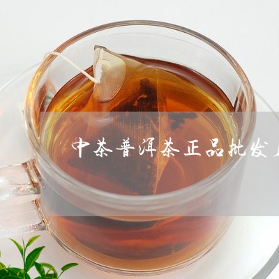 中茶普洱茶正品批发厂家/2023102432729