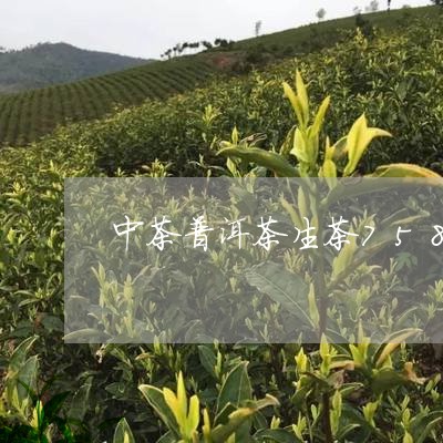 中茶普洱茶生茶7581/2023120748473