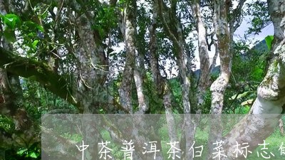 中茶普洱茶白菜标志的/2023120699805