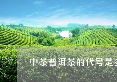 中茶普洱茶的代号是多少/2023112743597