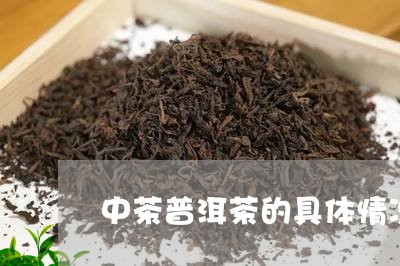 中茶普洱茶的具体情况/2023062599414