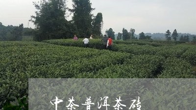 中茶普洱茶砖/2023042916186