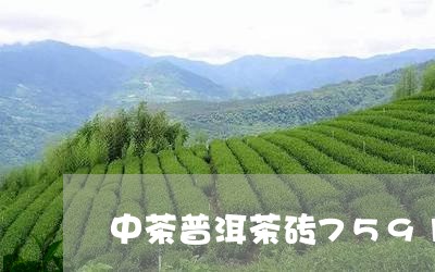 中茶普洱茶砖7591/2023062855038