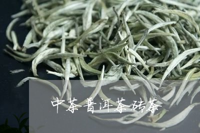 中茶普洱茶砖茶/2023081828528