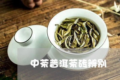 中茶普洱茶砖辨别/2023070948691