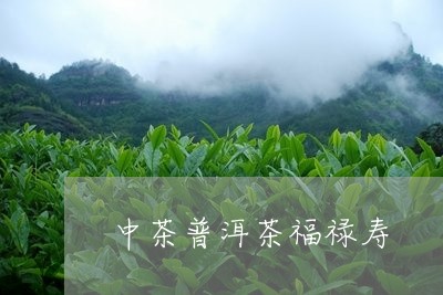 中茶普洱茶福禄寿/2023081624948