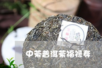 中茶普洱茶福禄寿/2023101698573