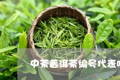 中茶普洱茶编号代表啥/2023080371603