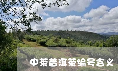 中茶普洱茶编号含义/2023070968591