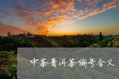 中茶普洱茶编号含义/2023091470593