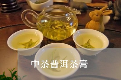 中茶普洱茶膏/2023042838218