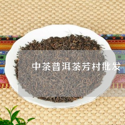 中茶普洱茶芳村批发/2023091455059