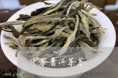 中茶普洱茶茶/2023042861470