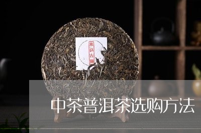 中茶普洱茶选购方法/2023110323849