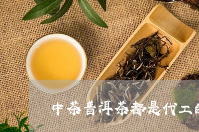 中茶普洱茶都是代工的/2023080356260