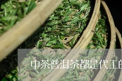 中茶普洱茶都是代工的/2023100765258