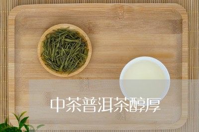 中茶普洱茶醇厚/2023112525269