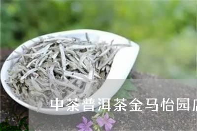 中茶普洱茶金马怡园店/2023081606279