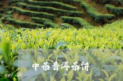 中茶普洱茶饼/2023042878395