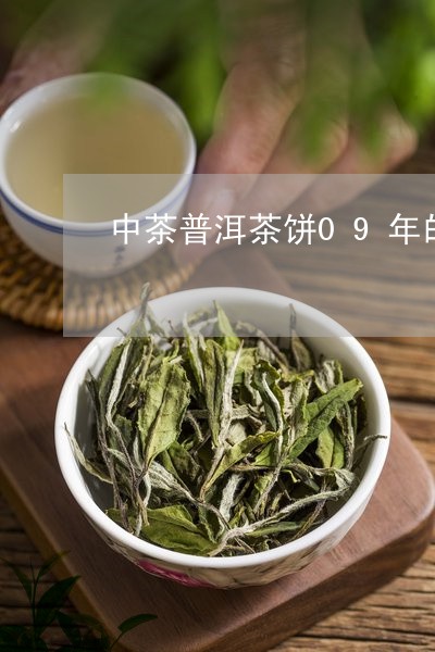 中茶普洱茶饼09年的/2023073180504