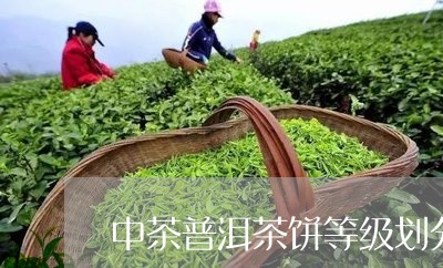 中茶普洱茶饼等级划分/2023100753027