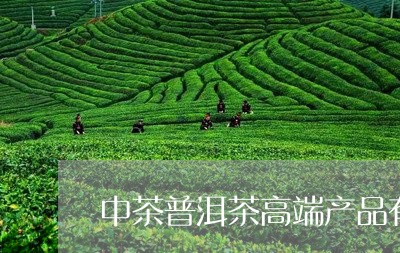 中茶普洱茶高端产品有哪些/2023082837059