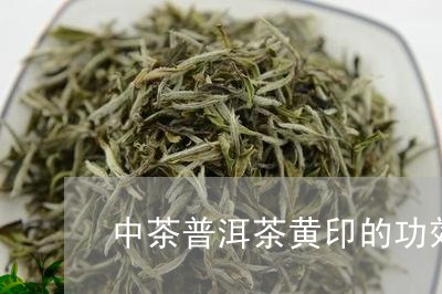 中茶普洱茶黄印的功效/2023062483945