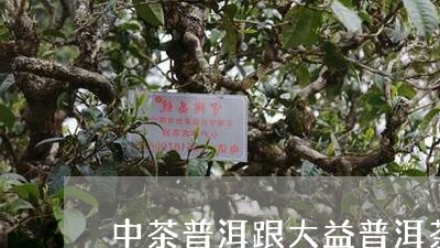 中茶普洱跟大益普洱茶/2023120617161