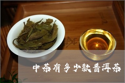 中茶有多少款普洱茶/2023120509473