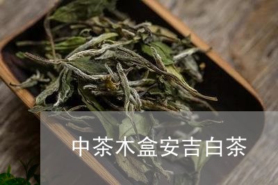 中茶木盒安吉白茶/2023061497481