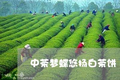 中茶梦蝶悠扬白茶饼/2023081193826