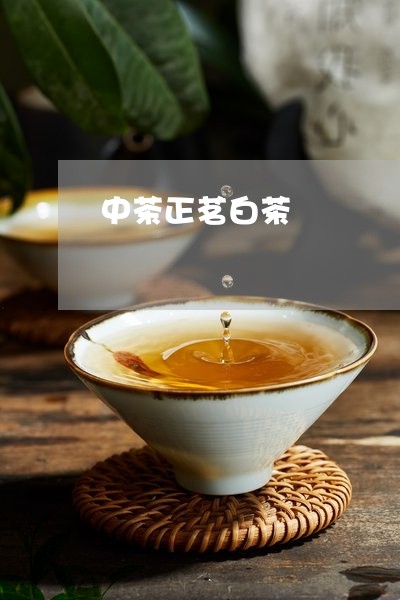 中茶正茗白茶/2023051226260