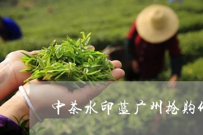 中茶水印蓝广州抢购价多少/2023051176372