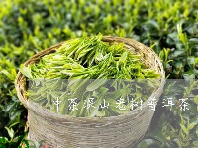 中茶深山老树普洱茶/2023091414828