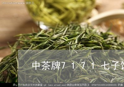 中茶牌7171七子饼茶中茶方茶/2023060291926