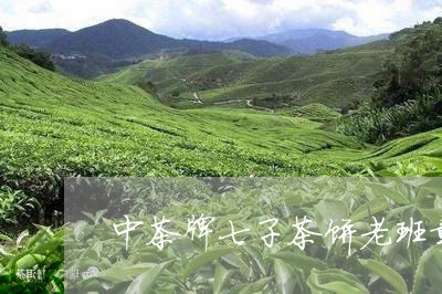 中茶牌七子茶饼老班章/2023092357481