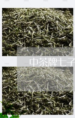 中茶牌七子饼茶6091生茶/2023052703840