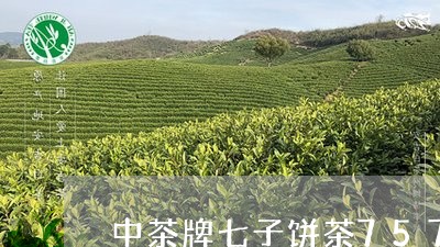 中茶牌七子饼茶7571的价格/2023053107279