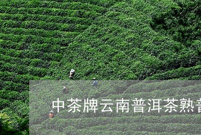 中茶牌云南普洱茶熟普洱的保存年限/2023060362816