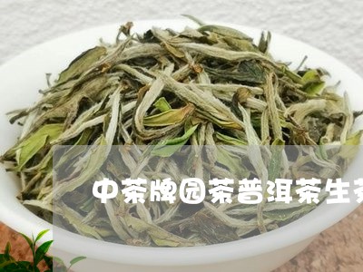 中茶牌园茶普洱茶生茶/2023100762935