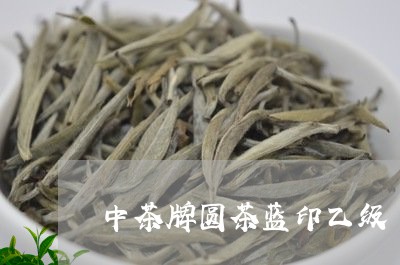 中茶牌圆茶蓝印乙级/2023042371595