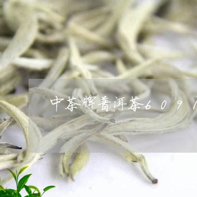 中茶牌普洱茶6091/2023062850604