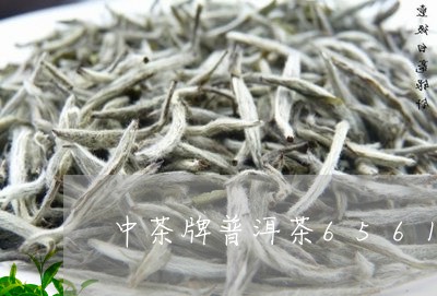 中茶牌普洱茶6561/2023062878402