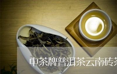 中茶牌普洱茶云南砖茶/2023080354937