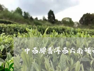 中茶牌普洱茶云南砖茶/2023100806248