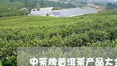 中茶牌普洱茶产品大全/2023080267592