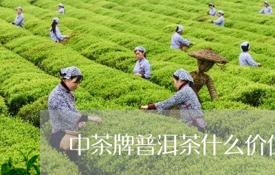 中茶牌普洱茶什么价位/2023080333836